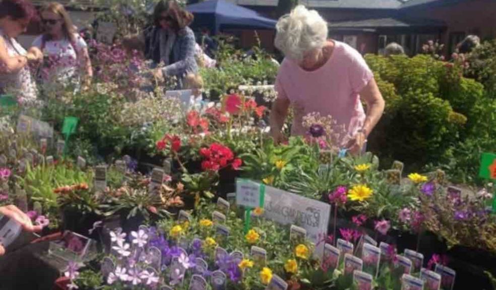 Garden & Food Festival